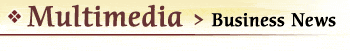 multimedia