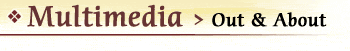multimedia