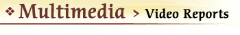 multimedia